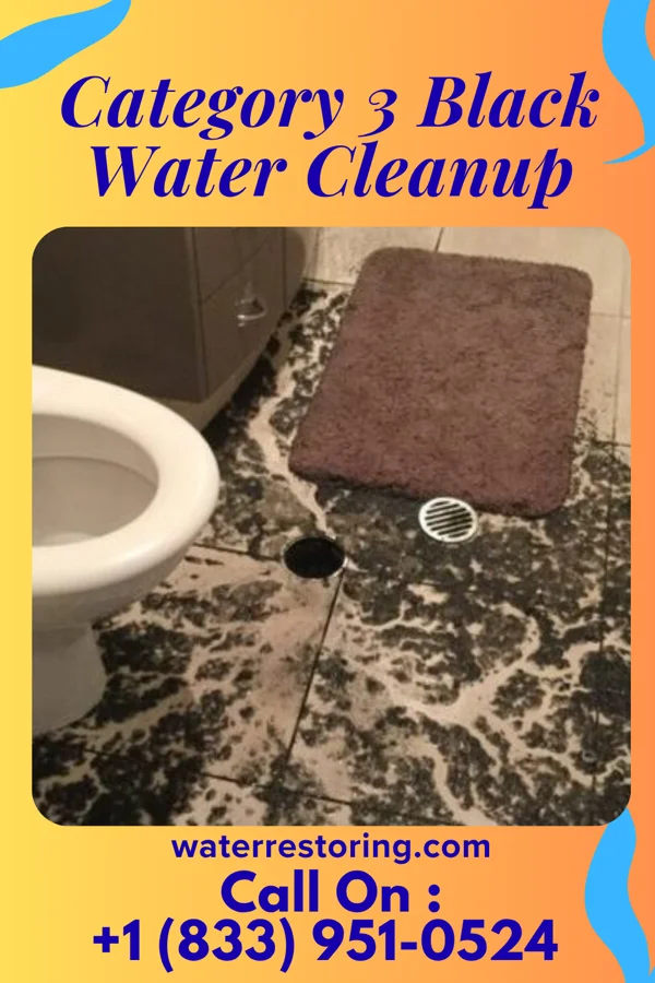 Category 3 Black Water Cleanup in Decker, IN