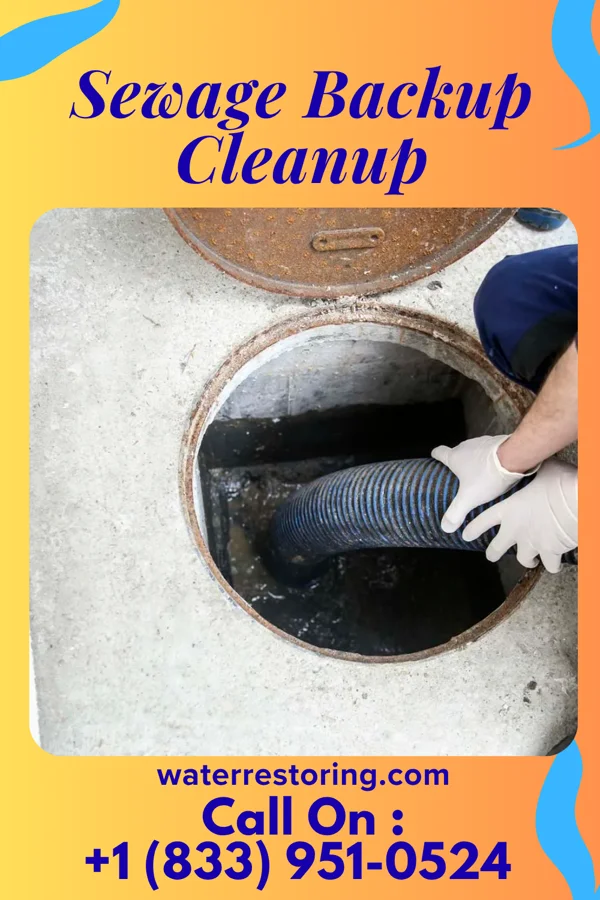 Sewage Backup Cleanup in Decker, IN