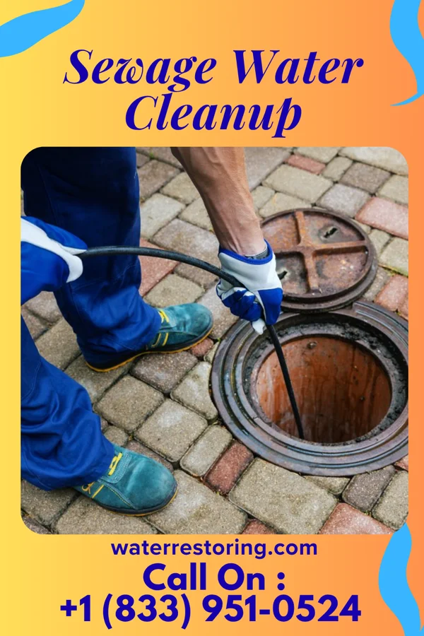 Sewage Water Cleanup in Decker, IN