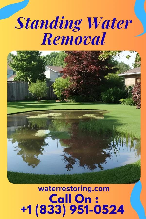 Standing Water Removal in Decker, IN